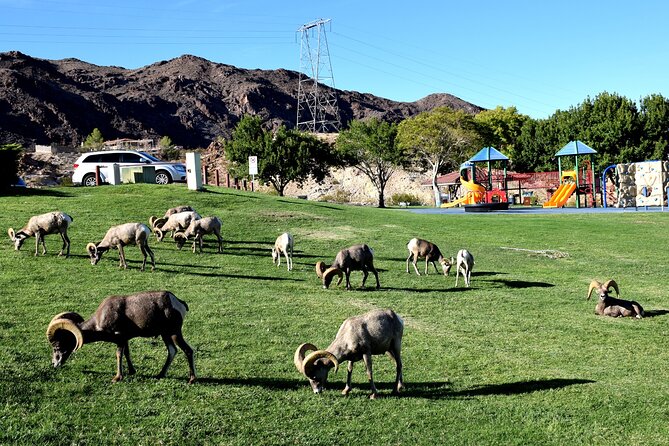 Grand Canyon West plus Hoover Dam VIP Day Tour from Las Vegas - Three hours at Grand Canyon West