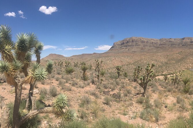 Grand Canyon Western Ranch Overnight Stay by Helicopter & Ground - Who will enjoy this most