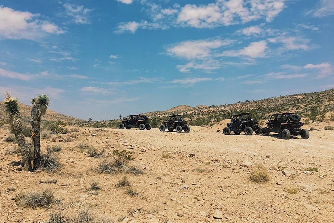Guided Mojave Desert Off Road RZR Adventure - Safety rules, age limits, and the temporary card hold