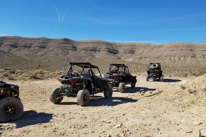Guided Mojave Desert Off Road RZR Adventure - Should you book the Mojave RZR tour?