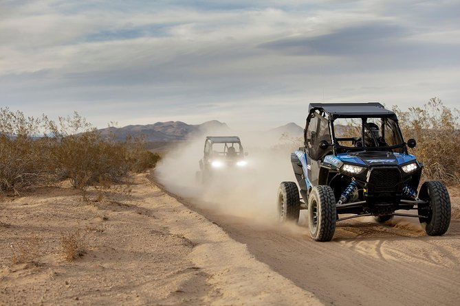 Guided Mojave Desert Off Road RZR Adventure - The Mojave Desert ride: rough ground and wide views