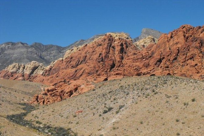 Guided Mountain Bike Tour of Mustang Trail in Red Rock Canyon - The ride itself: one mile up, two miles down
