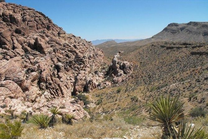 Guided Mountain Bike Tour of Mustang Trail in Red Rock Canyon - From Treasure Island to the desert trailhead