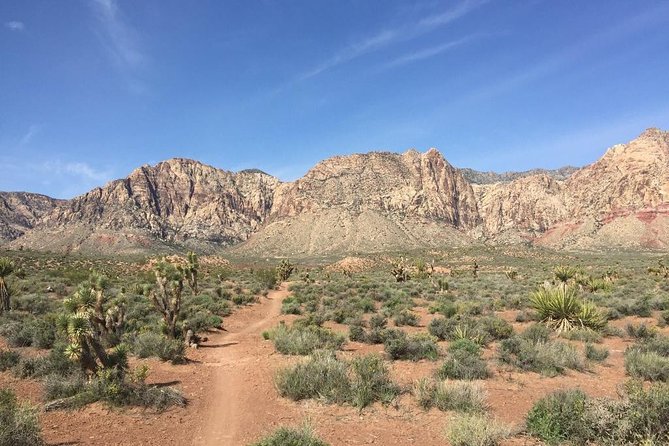 Guided or Self-Guided Road Bike Tour of Red Rock Canyon - Bikes, height limits, and fitness level