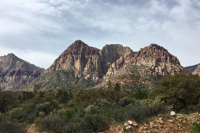 Guided or Self-Guided Road Bike Tour of Red Rock Canyon - Who should book this Red Rock ride?