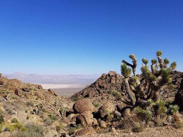 Guided or Self-Guided Road Bike Tour of Red Rock Canyon - The Strip pickup and ride to the canyon