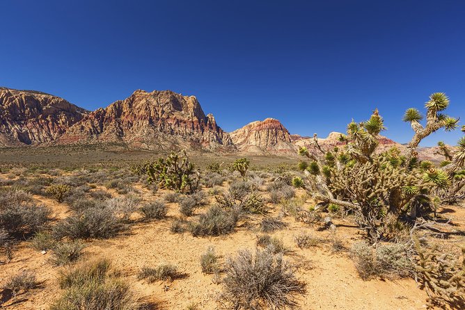 Half-Day Electric Bike Tour of Red Rock Canyon - What you see along the Red Rock Scenic Byway