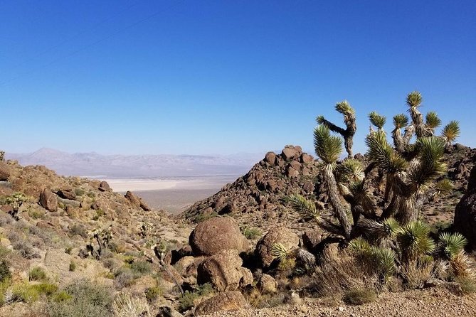 Half-Day Electric Bike Tour of Red Rock Canyon - From Treasure Island to the desert road