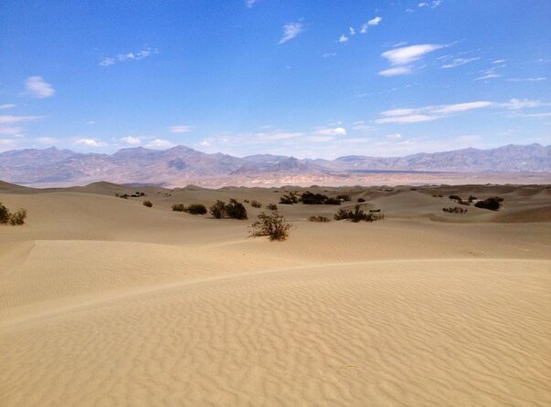Half-Day Mojave Desert ATV Tour from Las Vegas - Orientation before you touch the throttle