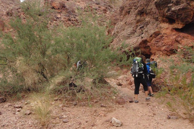 Hiking Adventure in White Rock Canyon and Desert Hot Springs - Entering the wash and slot canyons