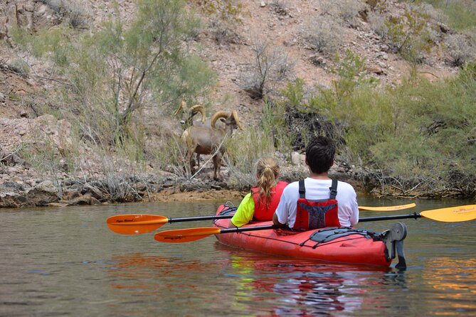 Hoover Dam & Hot Springs Kayak Tour with Lunch & Expert Guide - Why Black Canyon is more than a backdrop