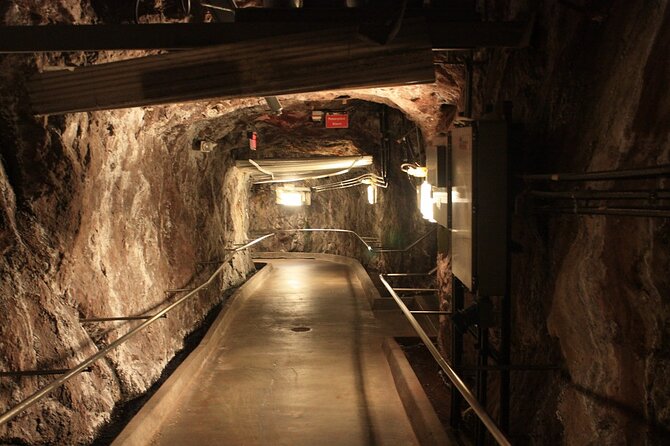 Hoover Dam Tunnels & Power Plant Tour - Who will enjoy this Hoover Dam experience