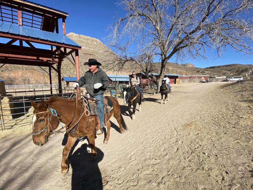 Horseback Ride thru Joshua Tree Forest with Buffalo & Lunch - A six-hour ride with more than horses