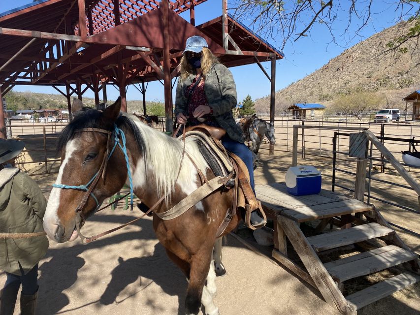 Horseback Ride thru Joshua Tree Forest with Buffalo & Lunch - The road from Las Vegas to Arizona