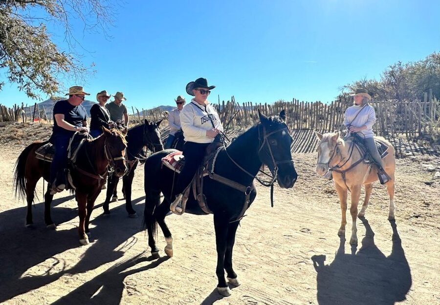 Horseback Ride thru Joshua Tree Forest with Buffalo & Lunch - Buffalo along the trail