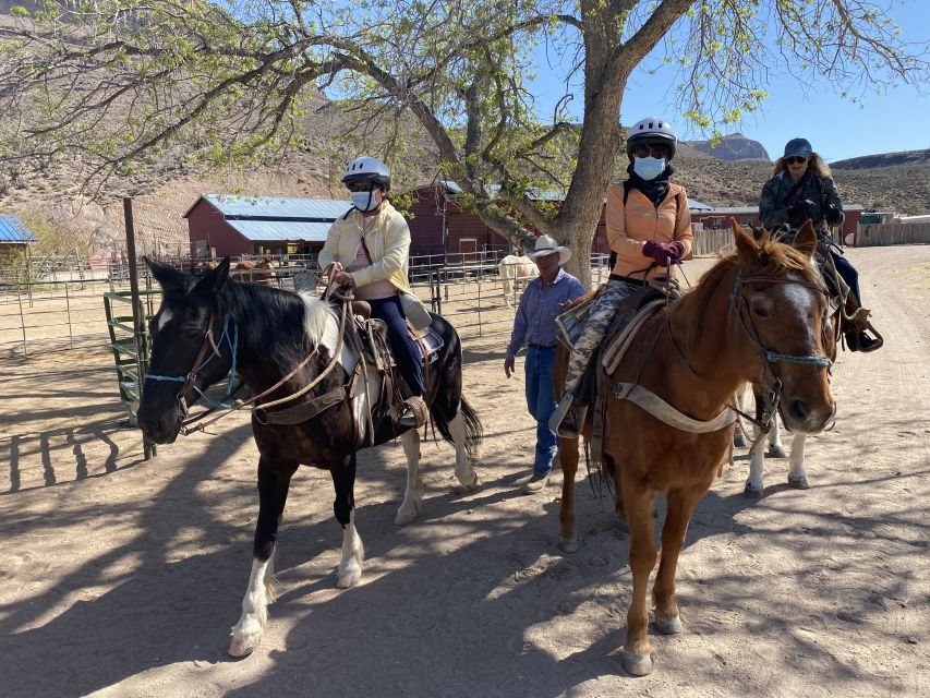 Horseback Ride thru Joshua Tree Forest with Buffalo & Lunch - A ranch with an old Western story
