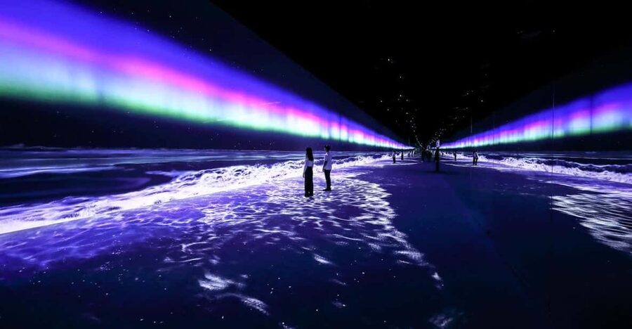 Las Vegas: Arte Museum Las Vegas Immersive Art Exhibition - What the 13 rooms offer