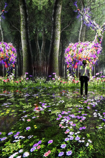 Arte Museum Las Vegas Immersive Art Exhibition