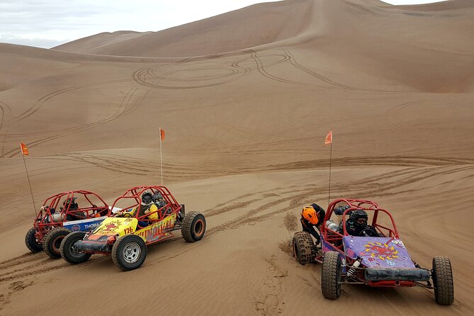 Las Vegas Big Dune Free Roam Adventure at Amargosa - Safety comes before the thrills