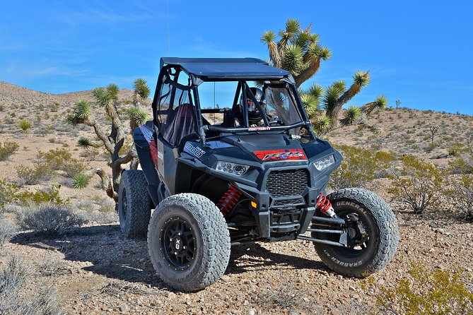 Las Vegas Desert RZR Adventure Tour at the Pioneer Saloon - Who will enjoy this most