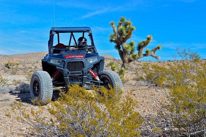 Las Vegas Desert RZR Adventure Tour at the Pioneer Saloon - Should you book the Pioneer Saloon RZR adventure?