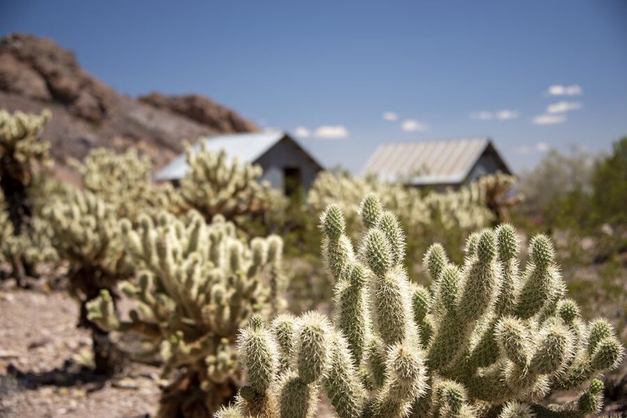 Las Vegas: Eldorado Canyon Gold Mine Tour - From Las Vegas to Eldorado Canyon