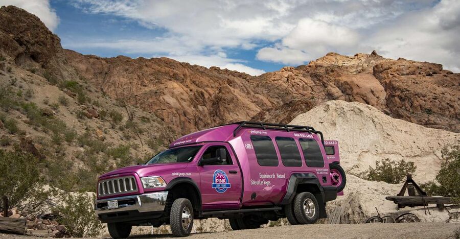 Las Vegas: Eldorado Canyon Gold Mine Tour - Desert plants and Wild West stories