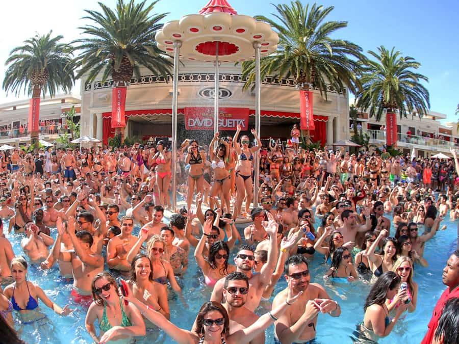 Las Vegas: Famous Pool Party Tour with Party Bus & Drinks - The party bus is the real opening act