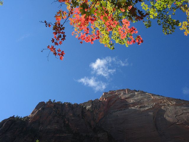 Las Vegas: Grand Canyon, Antelope, Bryce and Zion 3-Day Tour - The vehicle, guides, and pace