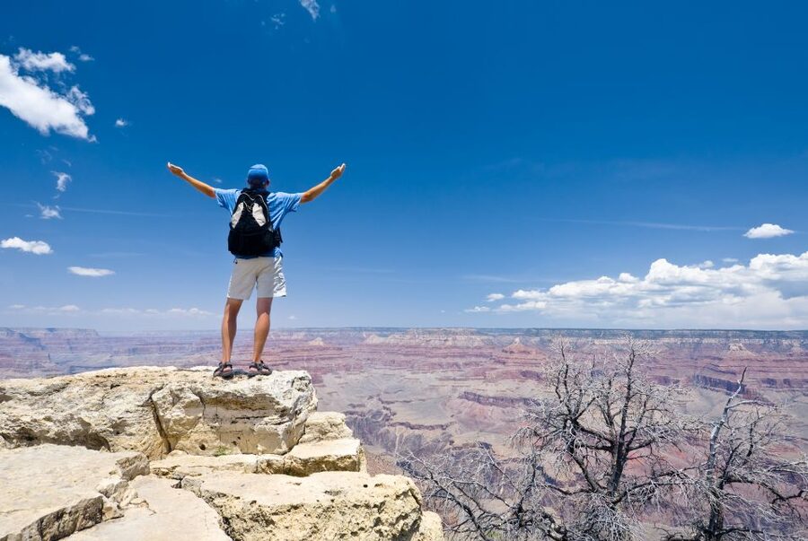 Las Vegas: Grand Canyon National Park Day Tour - Grand Canyon Visitor Center: lunch and orientation