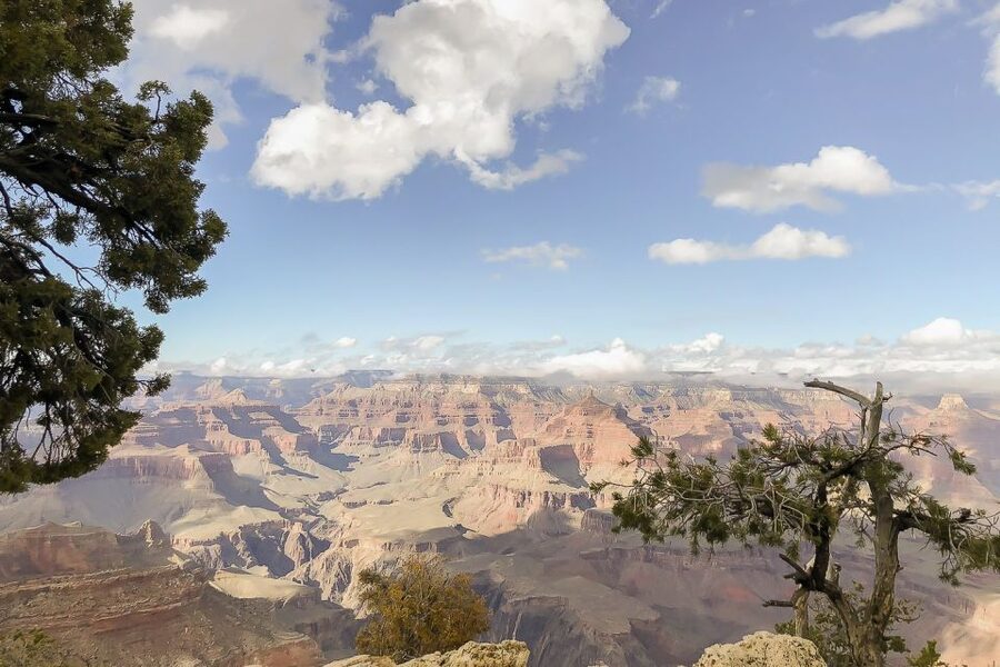 Las Vegas: Grand Canyon National Park South Rim Guided Tour - Entering Grand Canyon National Park