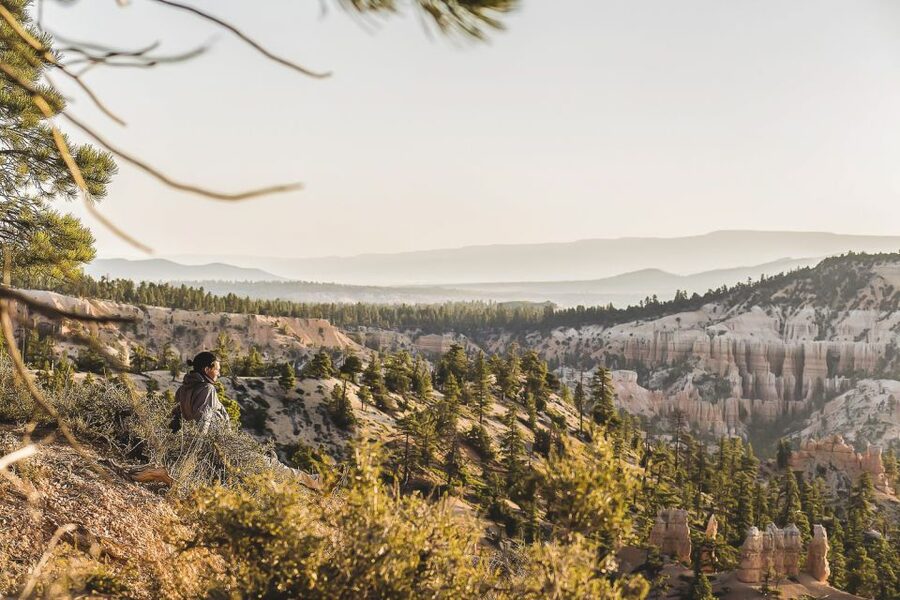 Las Vegas: Grand Canyon National Park South Rim Guided Tour - Food, Water, and the Return Journey