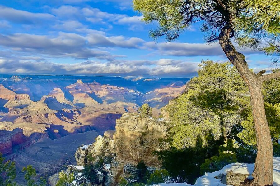 Las Vegas: Grand Canyon National Park South Rim Guided Tour - Guides, Drivers, and the Human Side of the Day