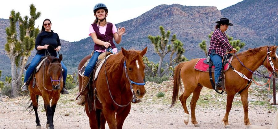 Las Vegas: Grand Canyon Ranch Tour with Horseback/Wagon Ride - Buffalo, mountain views, and ranch stories