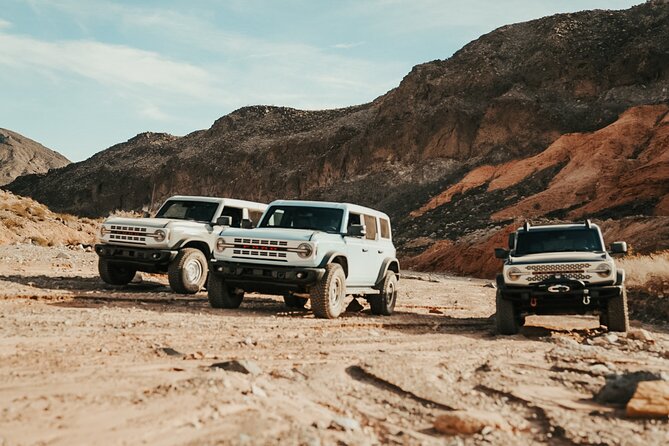 Las Vegas Guided Off-Road Adventure to Callville Wash - Why this Lake Mead drive is different from a Strip excursion