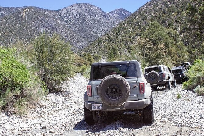 Las Vegas Guided Off-Road Adventure to Callville Wash - Reaching Callville Wash and Callville Bay