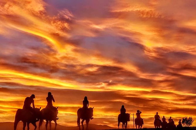 Las Vegas Horseback Ride with Meal - What the $129.99 price includes