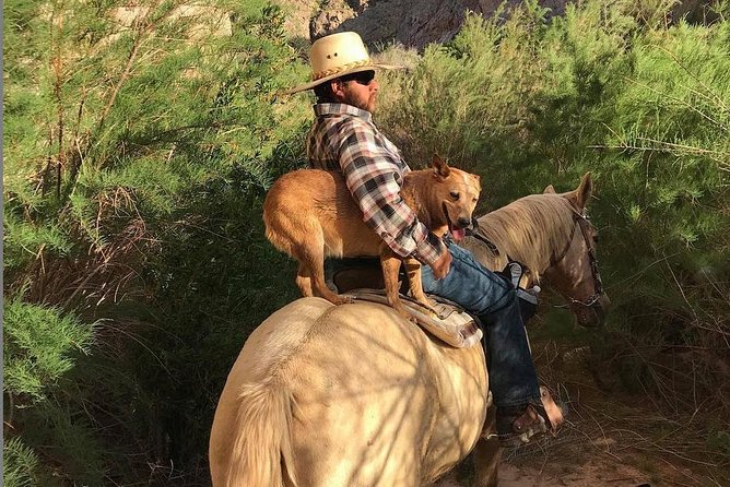 Las Vegas Horseback Ride with Meal - A slow ride through Wild West country