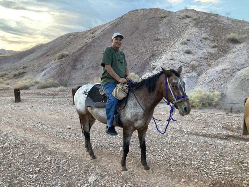 Las Vegas: Horseback Riding Tour - Transportation is the main weak spot