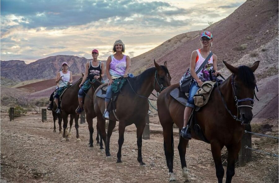 Las Vegas: Horseback Riding Tour with Lunch - Who will get the most from this tour