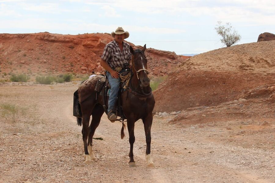 Las Vegas: Horseback Riding Tour with Lunch - Practical planning for a smoother ride