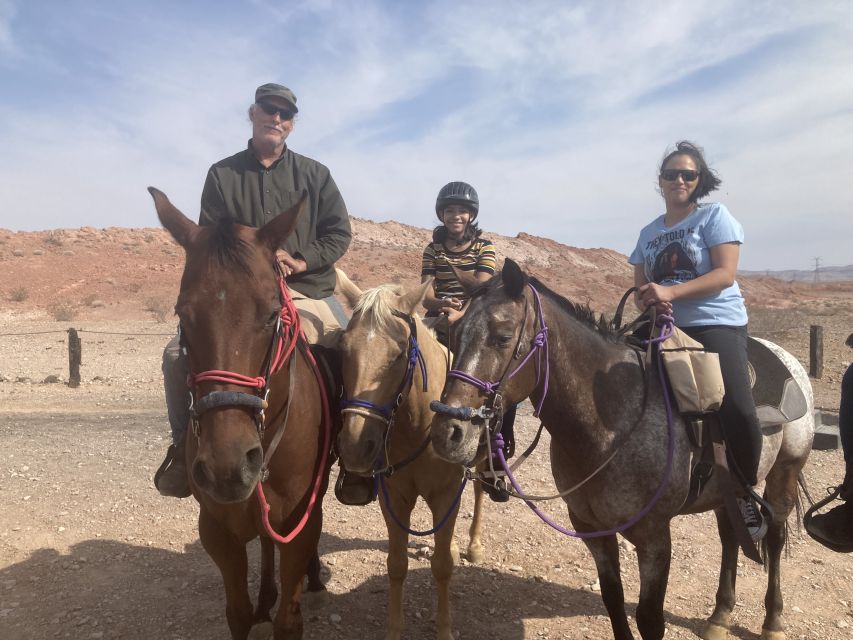 Las Vegas: Horseback Riding Tour - Getting matched with the right horse