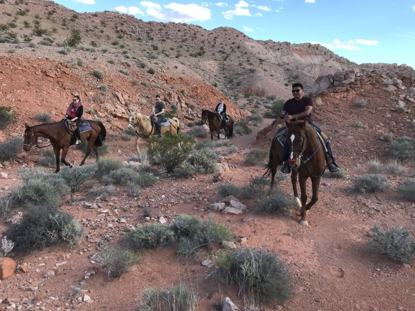Las Vegas: Horseback Riding with Breakfast - Who will enjoy this ride most?