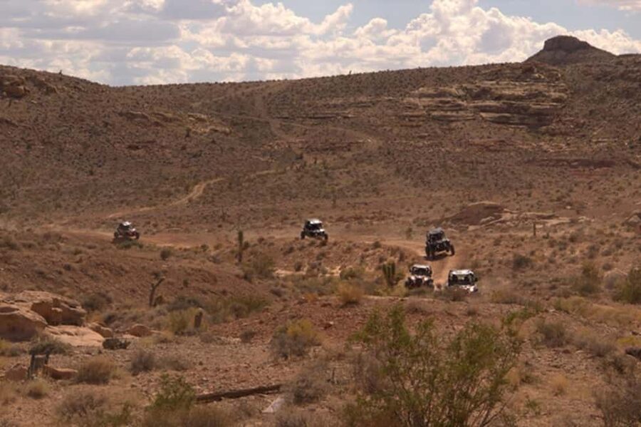 Las Vegas Mojave Off Road Adventure |Guided Tour-Let's Ride! - Joshua trees, cactus, flowers, and possible wildlife