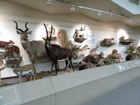 Las Vegas Natural History Museum Admission Ticket - What you actually get for $14.36