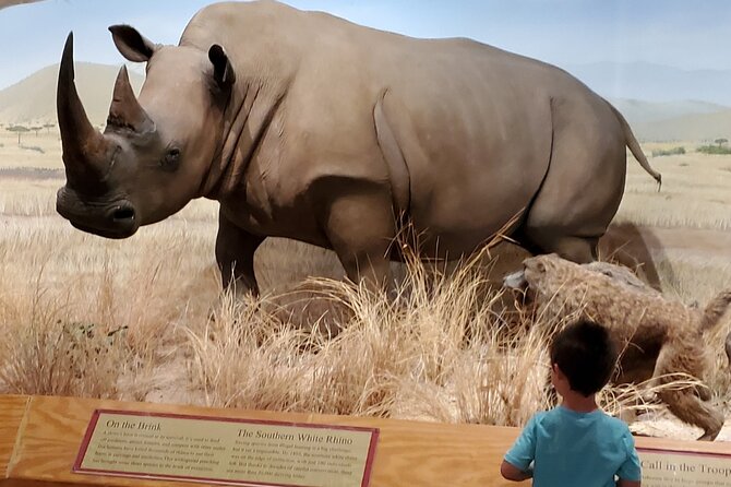 Las Vegas Natural History Museum Admission Ticket - Booking, entry, and small practical details