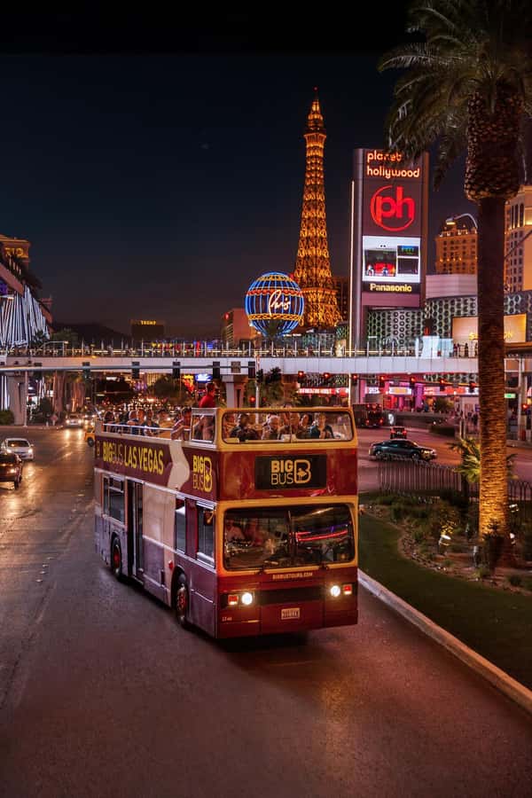 Las Vegas: Neon Museum Experience & Vegas Open-Top Bus Tour - Practical details that affect your choice