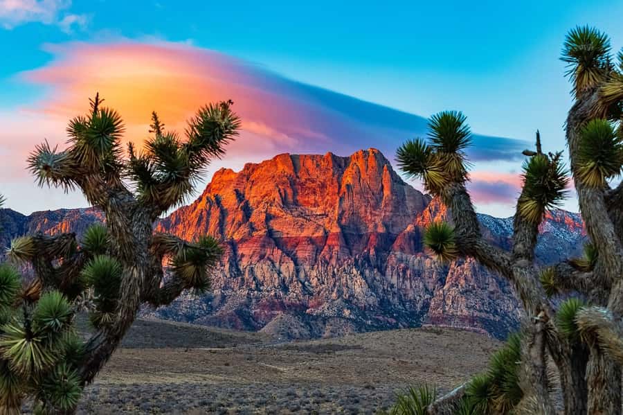 Las Vegas: Private Red Rock Canyon Guided Driving Adventure - Key points at a glance