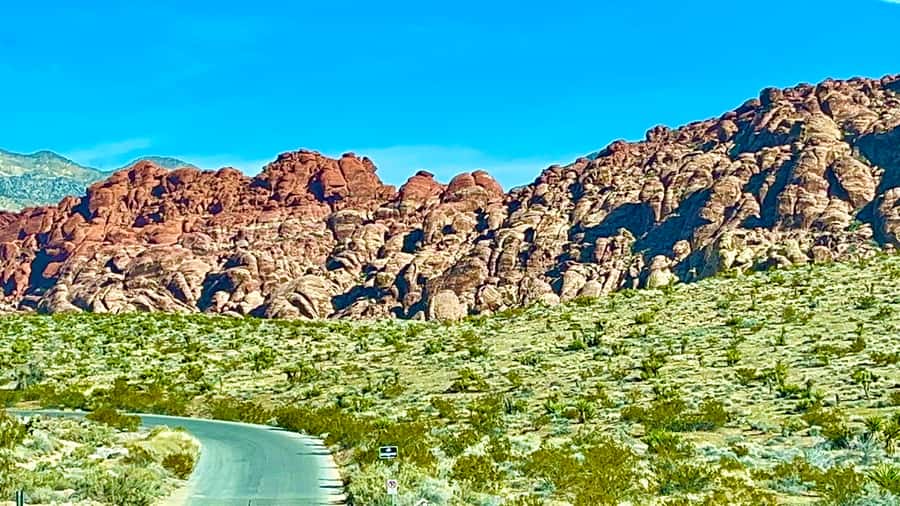Las Vegas: Private Red Rock Canyon Guided Driving Adventure - Who will enjoy this Red Rock outing?