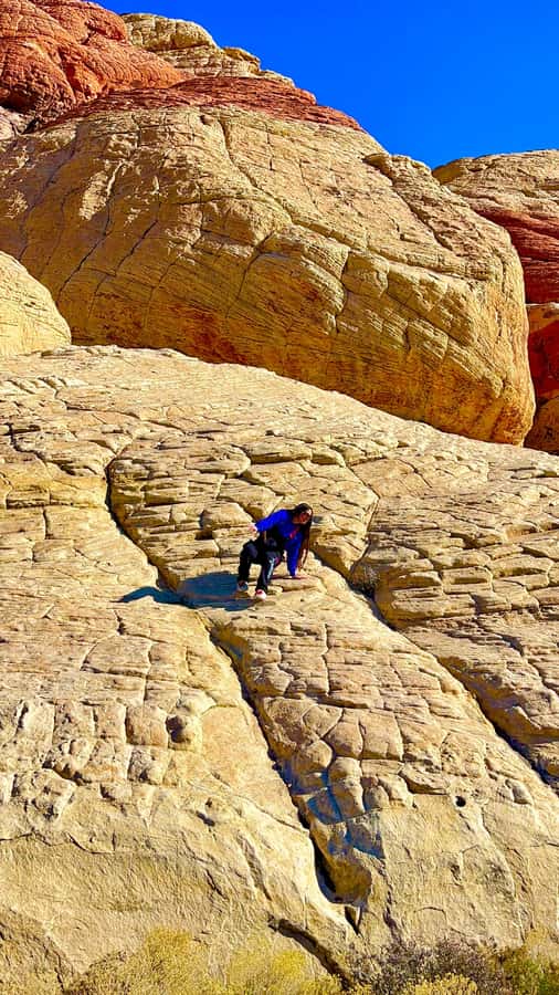 Las Vegas: Private Red Rock Canyon Guided Driving Adventure - Red cliffs, mountain walls, and desert color